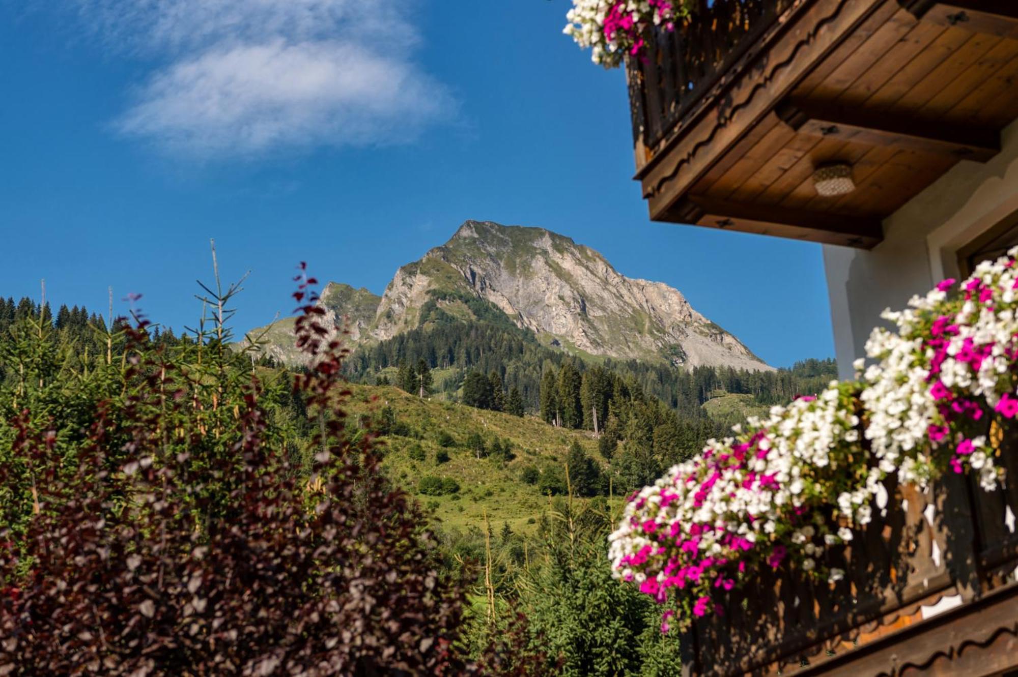 Bauernhofhotel "Die Unterbergerin" - Zimmer Mit Fruehstueck Und Ferienwohnungen In Gastein Mit Gratis Thermeneintritt Dorfgastein Kültér fotó