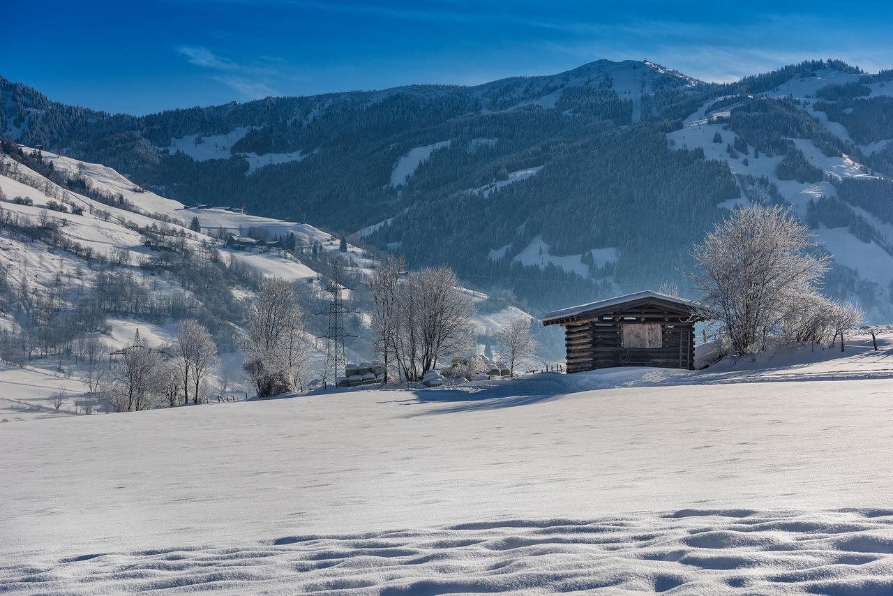 Bauernhofhotel "Die Unterbergerin" - Zimmer Mit Fruehstueck Und Ferienwohnungen In Gastein Mit Gratis Thermeneintritt Dorfgastein Kültér fotó