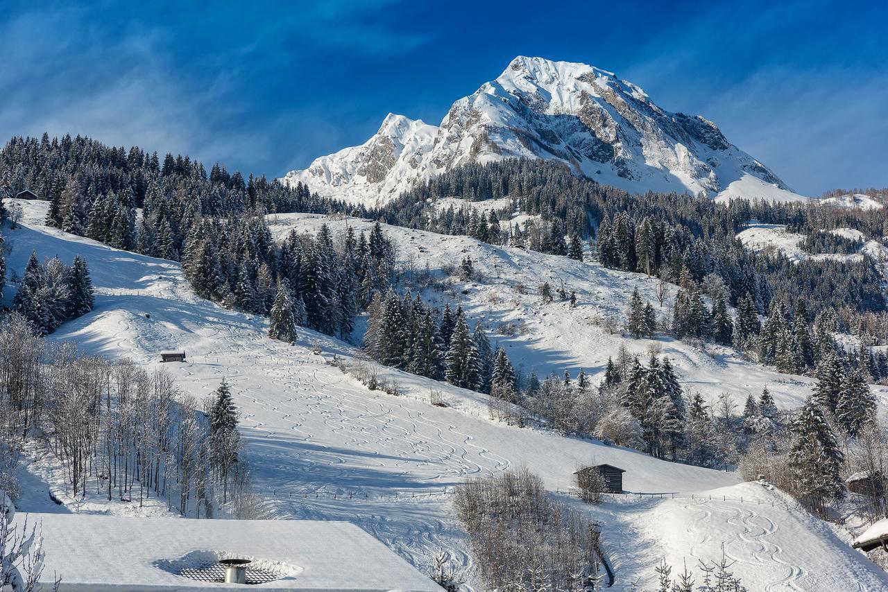 Bauernhofhotel "Die Unterbergerin" - Zimmer Mit Fruehstueck Und Ferienwohnungen In Gastein Mit Gratis Thermeneintritt Dorfgastein Kültér fotó