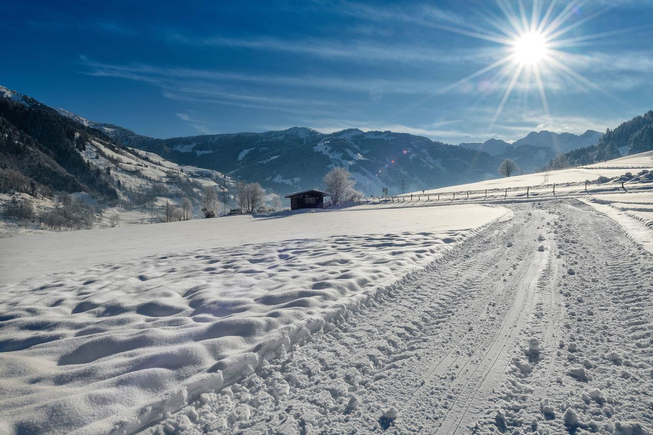 Bauernhofhotel "Die Unterbergerin" - Zimmer Mit Fruehstueck Und Ferienwohnungen In Gastein Mit Gratis Thermeneintritt Dorfgastein Kültér fotó